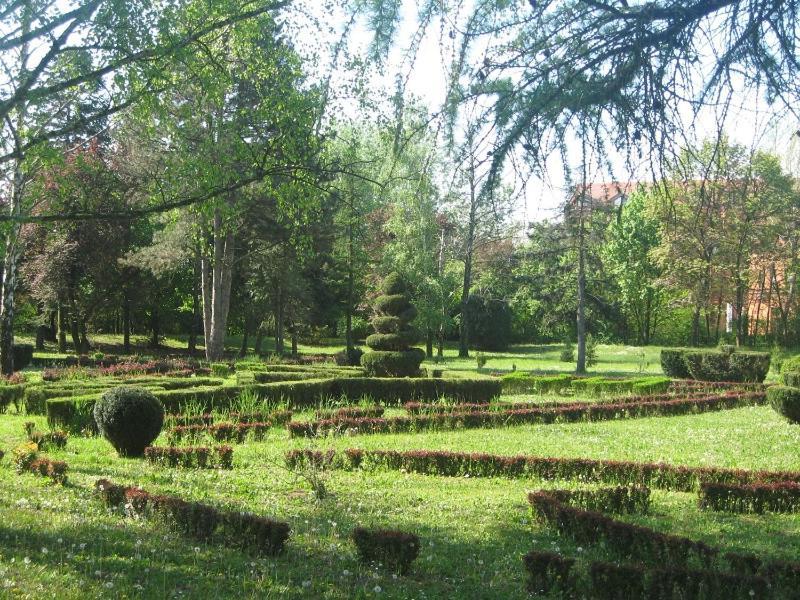 Apartman Ana Bečej Esterno foto
