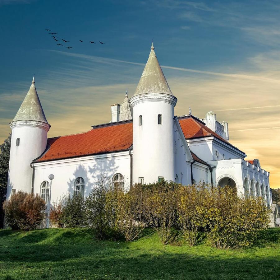 Apartman Ana Bečej Esterno foto